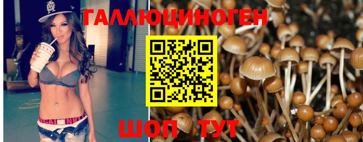 Галлюциногенные грибы Magic Shrooms  Вход с VPN  Псилоцибиновые грибы Psilocybine cubensis  Кисловодск 